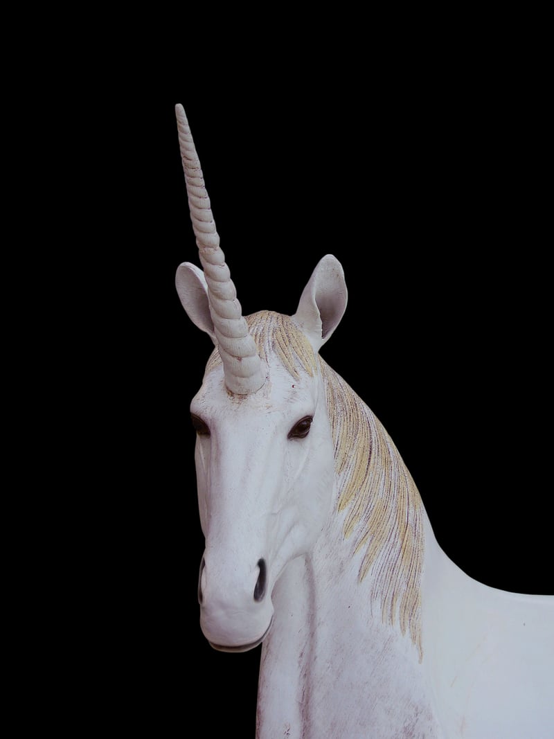 Unicorn Encounters