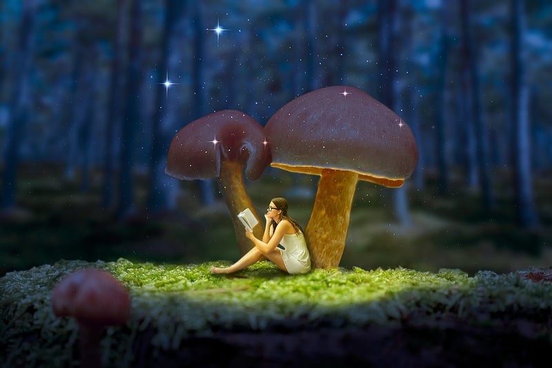 Enchanted Forest