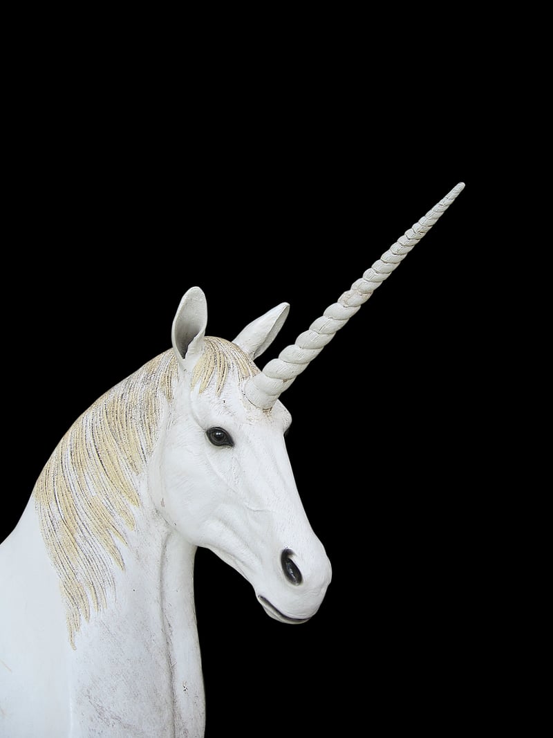 Unicorn Maiden