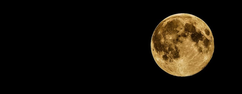 Moonlit Garden