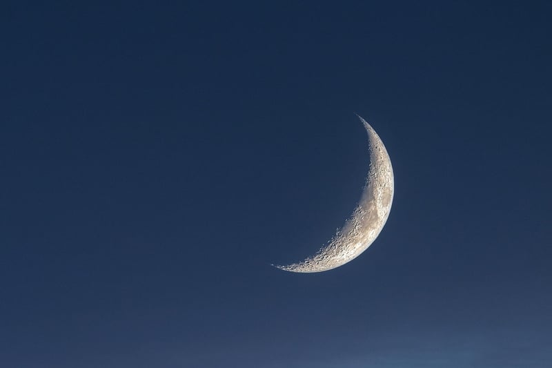 Moonlight