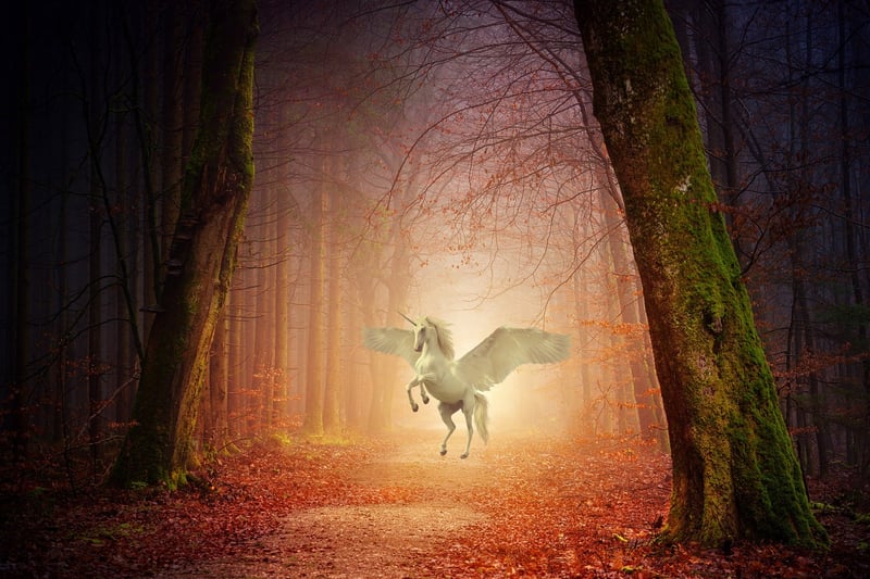 Unicorn